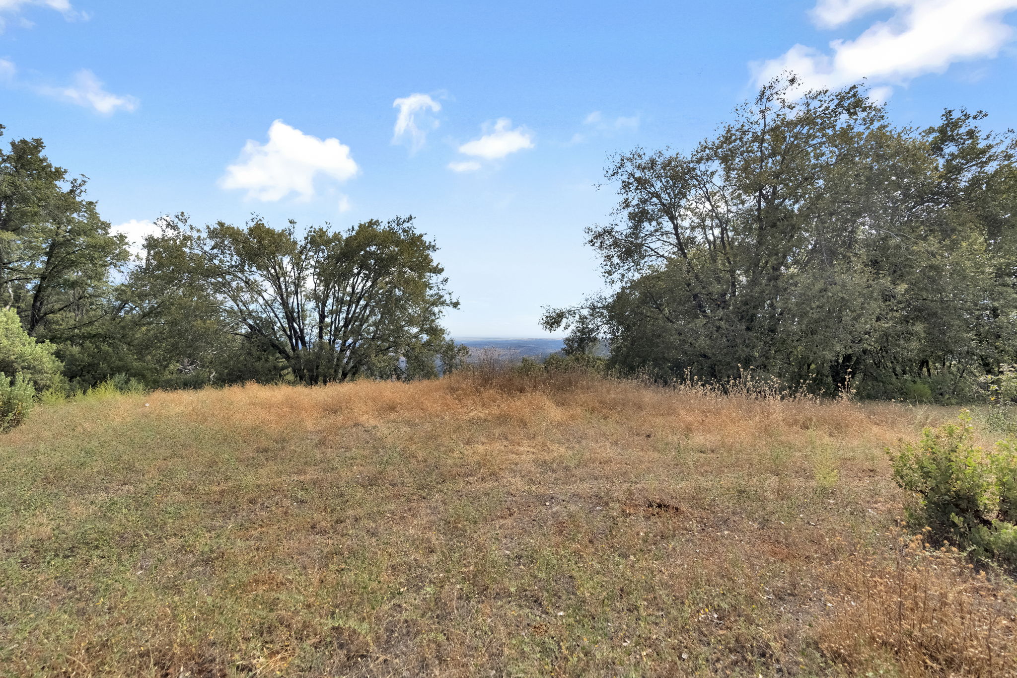 Open meadow with distant ridge vista