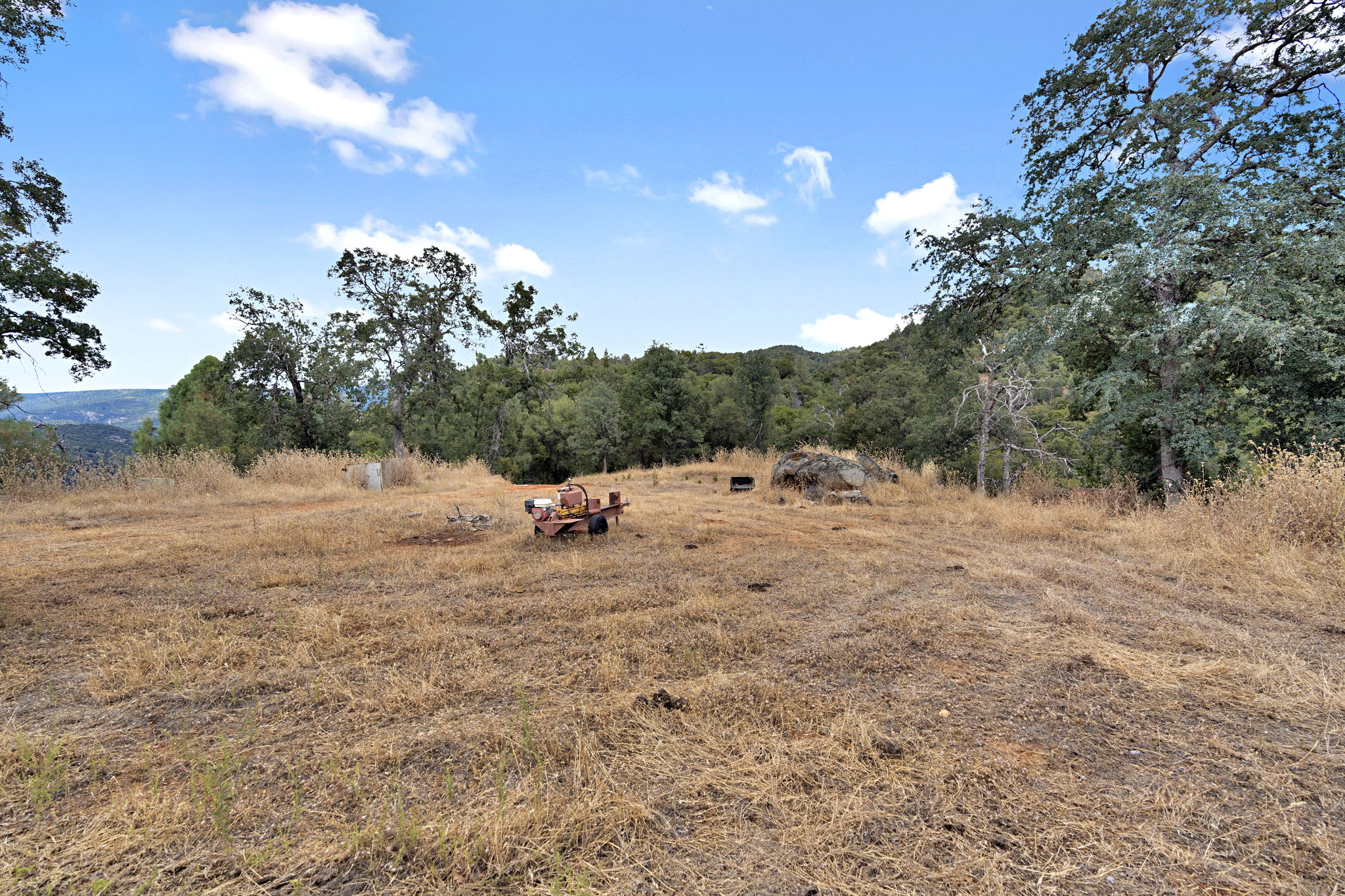 Meadow clearing with stone fire ring