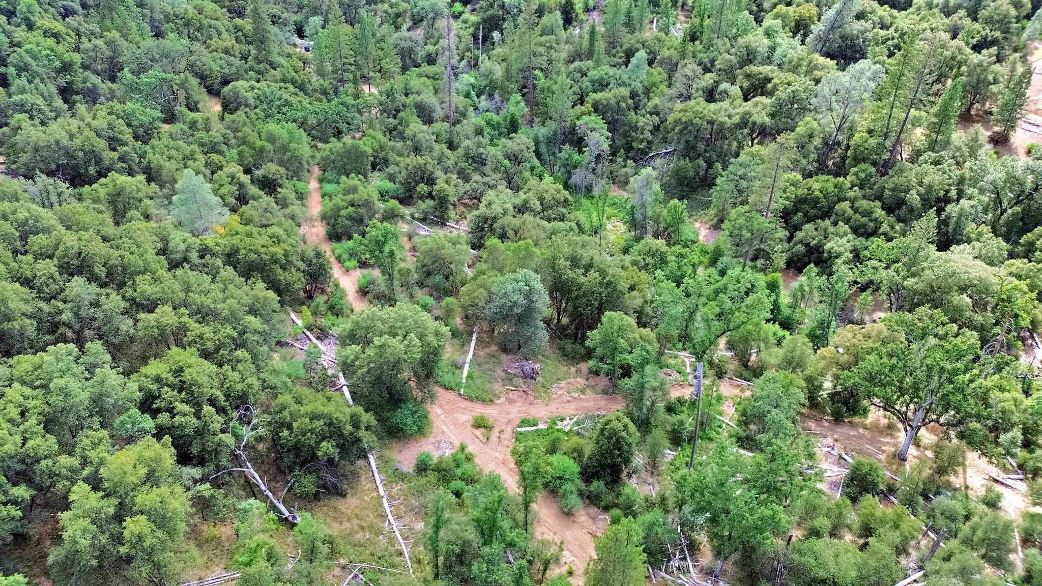 Aerial of distant ridges and forest canopy