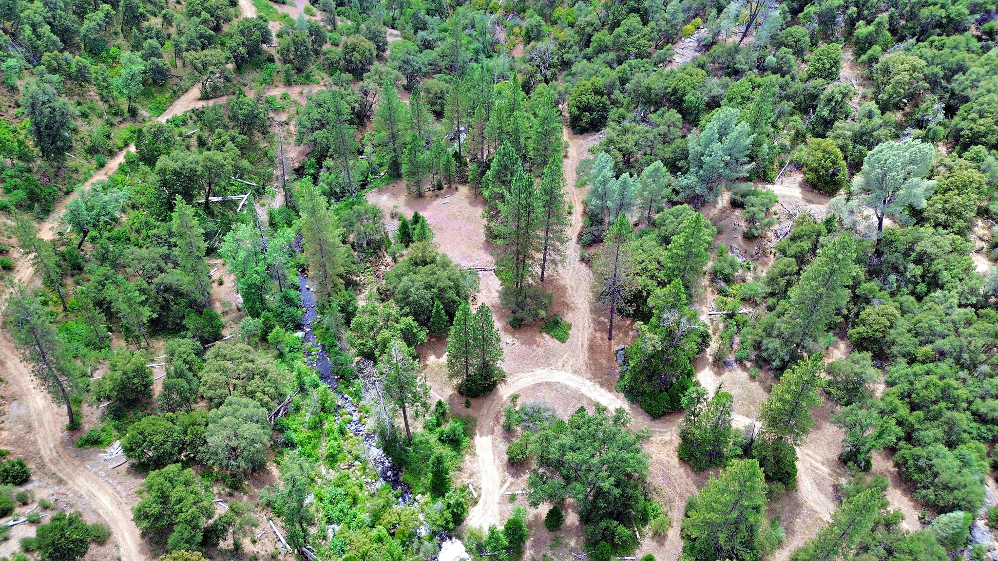 Drone overlook of oak-studded canyon